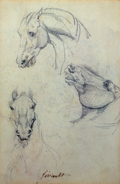 Kolme hevosen päätä (lyijykynä) tekijältä Theodore Gericault