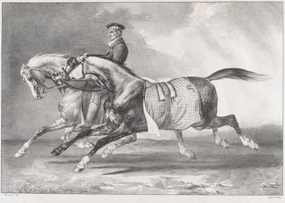Kaksi pilkullista harmaata hevosta liikuntaharjoituksessa tekijältä Theodore Gericault