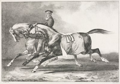 Kaksi kirjavaa hevosta harjoittelemassa tekijältä Theodore Gericault