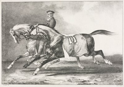 Kaksi kirjavaa hevosta harjoittelemassa, 1822. tekijältä Theodore Gericault