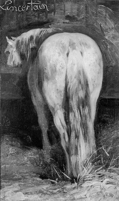 Epävarma, hevonen tallissa tekijältä Theodore Gericault