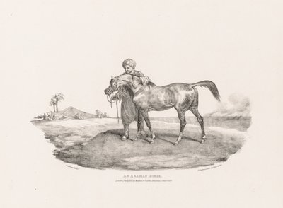 Erilaisia aiheita luonnosta ja kivelle piirrettyjä:  arabialainen hevonen tekijältä Theodore Gericault