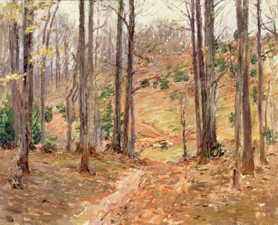 Virginia Woods, 1893 tekijältä Theodore Robinson