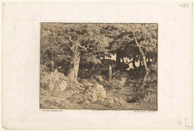Tammet kivillä Chenes de Roche (alkuperäinen nimi) tekijältä Theodore Rousseau