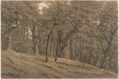 Fontainbleaun metsässä tekijältä Theodore Rousseau