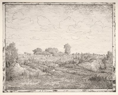 Plant Plain Biaussa tekijältä Theodore Rousseau