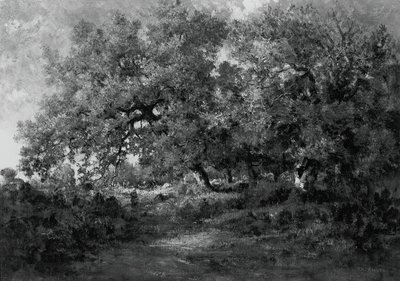 Maisema, c. 1860. tekijältä Theodore Rousseau