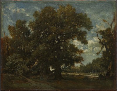 Tammipuu tekijältä Theodore Rousseau