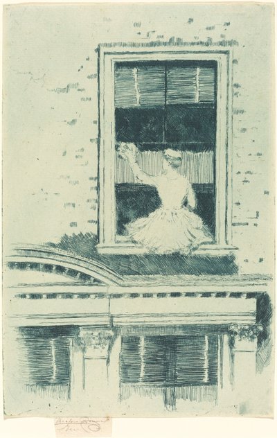 Ikkunanpesuaine tekijältä Theodore Roussel