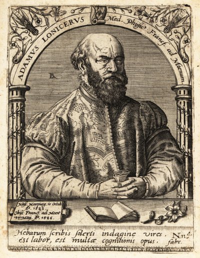 Adam Lonicer tai Lonitzer tekijältä Theodore de Bry