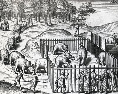 Elefantin metsästys Pegun valtakunnassa, nykyisessä Myanmarissa, Theodor de Bry (1528-1598), kaiverrus tekijältä Theodore de Bry