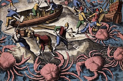 Eurooppalaiset navigaattorit taistelevat isorapua vastaan. Kaiverrus Theodore de Bryn teoksesta "Petities voyages aux Indes Orientales" tekijältä Theodore de Bry