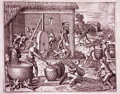 Amerikan historia: Espanjan valloittajille työskentelevien intialaisten orjien sokeriruo