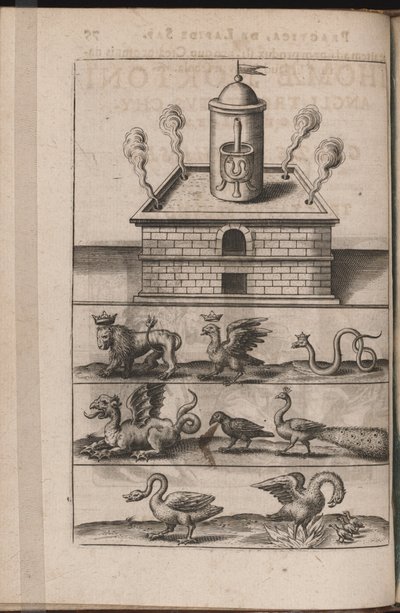 Kuvitus Tripus Avrevsille, eli kolme valikoitujen kemistien tutkielmaa.., 1618 tekijältä Theodore de Bry
