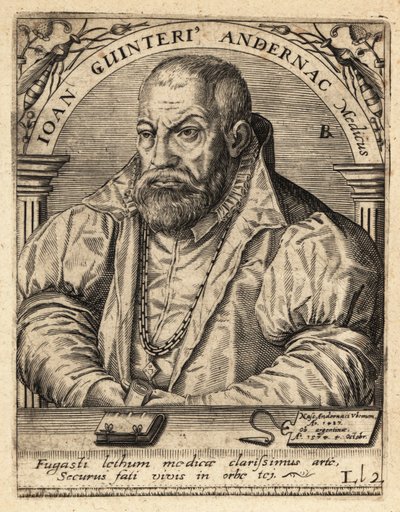 Johann Winter von Andernach, saksalainen lääkäri tekijältä Theodore de Bry