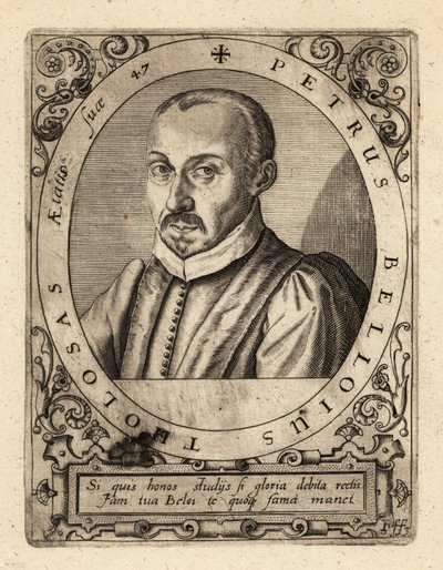 Pierre de Belloy, ranskalainen lakimies ja tuomari. tekijältä Theodore de Bry