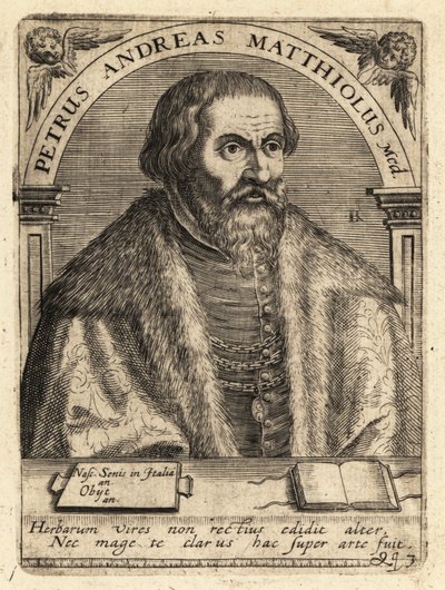 Pietro Andrea Gregorio Mattioli, italialainen lääkäri tekijältä Theodore de Bry