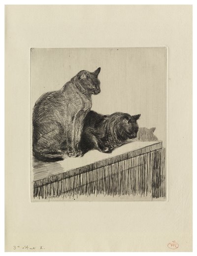 Kaksi kissaa huonekalun päällä tekijältä Théophile Alexandre Steinlen