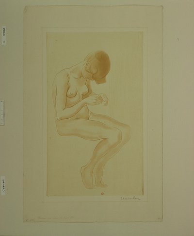 [Nainen hoitaa kynsiään (6. suuri alastonkuva)] tekijältä Théophile Alexandre Steinlen