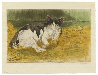 Vanha mustavalkoinen kissa nurmikolla tekijältä Théophile Alexandre Steinlen