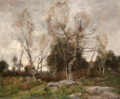 Maisema (öljy kankaalle) tekijältä Theophile de Bock
