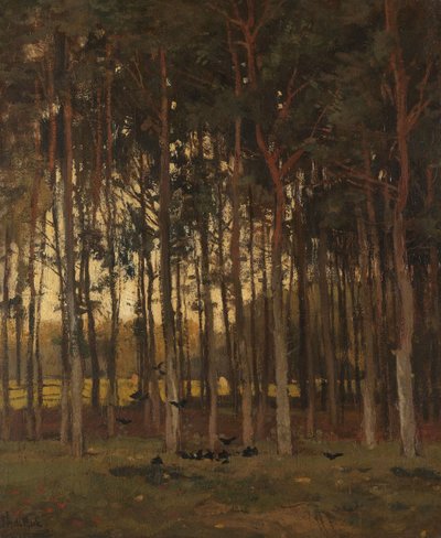 Näkymä metsässä tekijältä Theophile de Bock