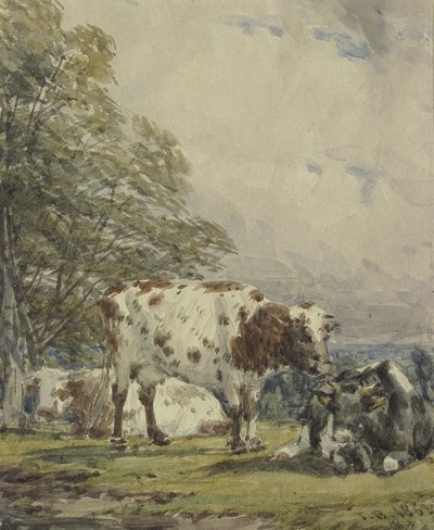 Tutkimus karjasta, 1800-luku tekijältä Thomas Baker