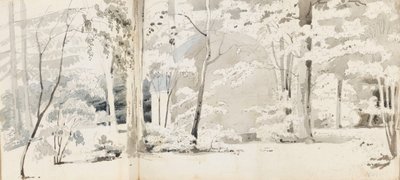 Puiden ympäröimä lehtimaja (etusivu) tekijältä Thomas Baxter