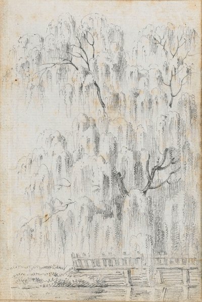 Tutkimus vedenpinnan yläpuolella olevasta puusta Mertonissa (etusivu). tekijältä Thomas Baxter