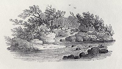 A Bend in the River julkaisusta Historia of British Birds, osa 2: Water Birds, 1804 tekijältä Thomas Bewick