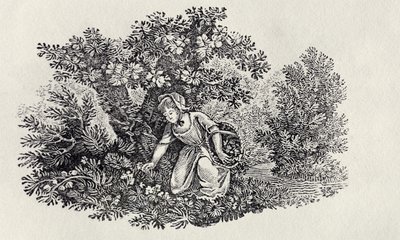Tyttö kerää kukkia Britannian lintujen ja nelijalkaisten historiasta tekijältä Thomas Bewick