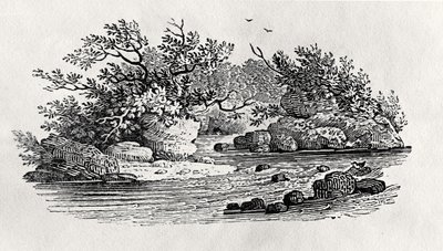 Joen mutka, "Water Birds" -teoksesta, julkaistu 1804 (puukaiverrus) tekijältä Thomas Bewick