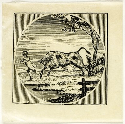 Kirjan kuvitus tekijältä Thomas Bewick