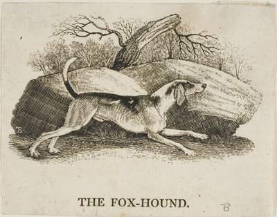 Kettukoira tekijältä Thomas Bewick
