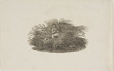 Takakappale: Mies Bushissa tekijältä Thomas Bewick