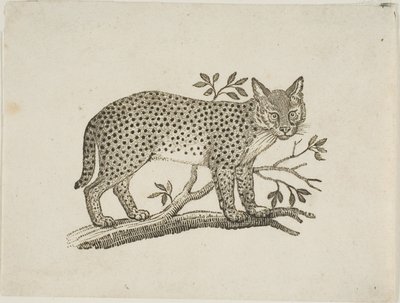 Servaali tekijältä Thomas Bewick
