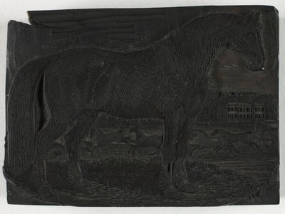Puupalikka mustalle hevoselle, nelijalkaisten yleishistoriasta tekijältä Thomas Bewick