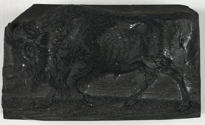 Puupalikka Urukselle tai Wild Bullille, julkaisusta A General History of Quadrupeds tekijältä Thomas Bewick