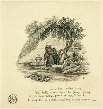 ...sinä lesken yksinäinen asia... tekijältä Thomas Bewick