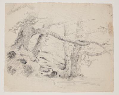Tammi- ja Hemlock-puut (kynä paperille) tekijältä Thomas Cole