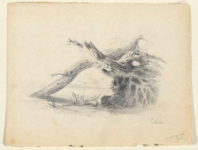 Luonnos kahdesta kuolleesta puusta tekijältä Thomas Cole