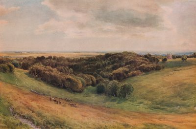 Arundel Park, 1874 tekijältä Thomas Collier