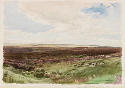 Moorland lähellä Hart Leap Welliä, Yorkshire (akvarelli paperille) tekijältä Thomas Collier