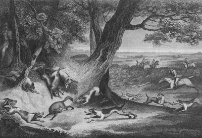 Ketun kuolema, 1793. tekijältä Thomas Cook