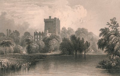 "Blarney Castle, Co. Cork", 1831. tekijältä Thomas Dixon