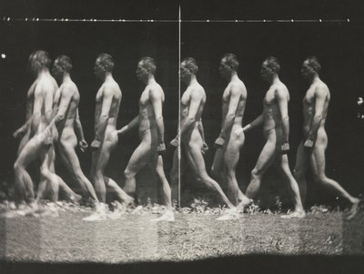 [Man Walking, Stroboscopic Photograph], 1880-luku, painettu 1930-40-luku, 1880-luku, painettu 1930-40-luku. tekijältä Thomas Eakins
