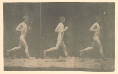 Marey Wheelin valokuvat tunnistamattomasta mallista, 1884. tekijältä Thomas Eakins