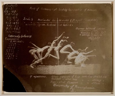 Marey Wheelin valokuvat tunnistamattomasta mallista, Eadweard Muybridge -merkinnöillä, 1884. tekijältä Thomas Eakins