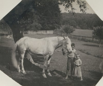 Thomas Eakinsin hevonen Billy ja kaksi Crowell-lasta Avondalessa, Pennsylvaniassa, noin. 1892. tekijältä Thomas Eakins