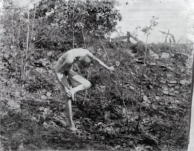 Thorn Puller, c. 1883. tekijältä Thomas Eakins